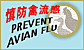 �w���V�y�P