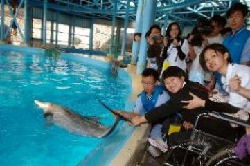 图示访问团在海洋公园与海豚近距离接触。